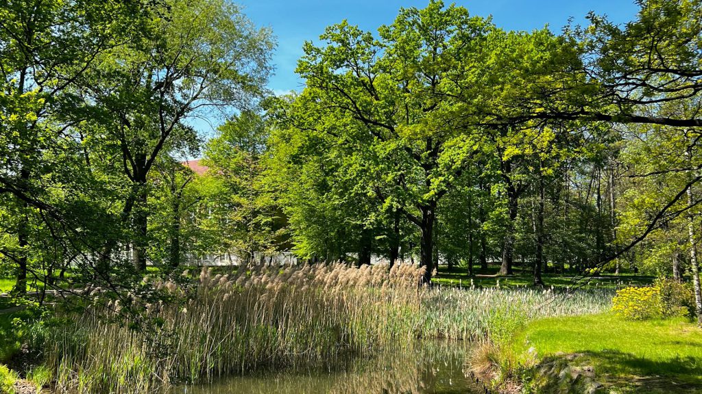Parka Szczytnicki